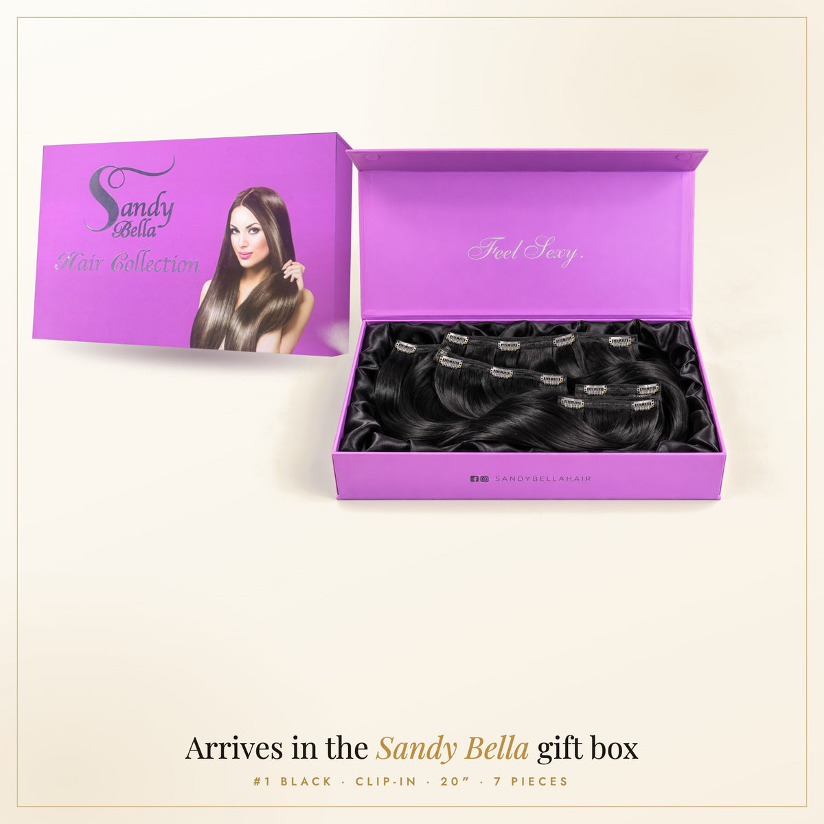 Sandy Bella gift box — #1 Black 20" Clip-in (160 Grams)